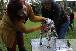 Welpen  06.09.2025 14